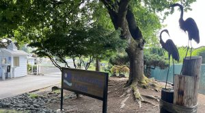 Wandering Creek community in Bothell - Entrance