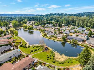 Wandering Creek Bothell - drone